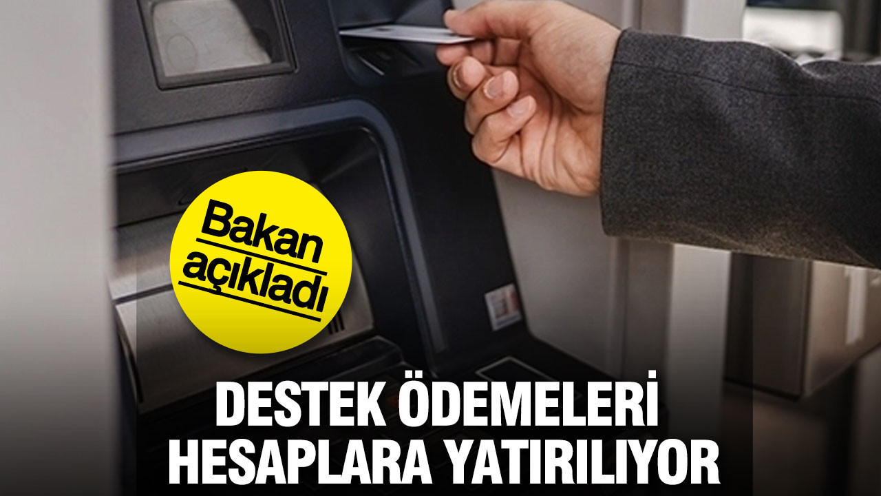 Destek ödemeleri hesaplara yatırılıyor... Bakan açıkladı