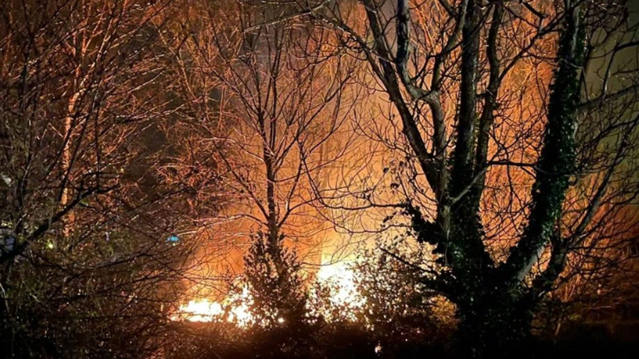 Filyos'ta ağaçlık alanda çıkan yangın