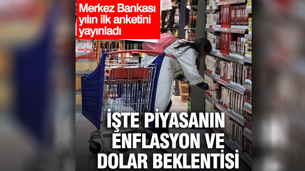 Merkez Bankası anketi yayınlandı: Piyasanın enflasyon beklentisi yüzde 23,23