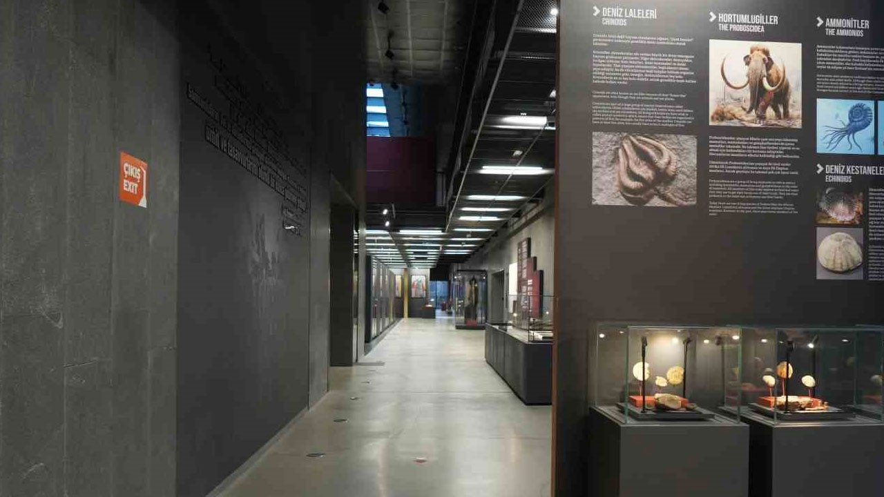 5 bin yıllık kafatası ve Amisos Hazineleri büyük ilgi gördü