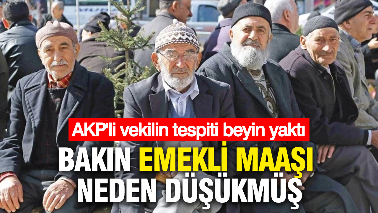 AKP'li vekilin emekli tespiti beyin yaktı: Bizde ömür de uzadı.