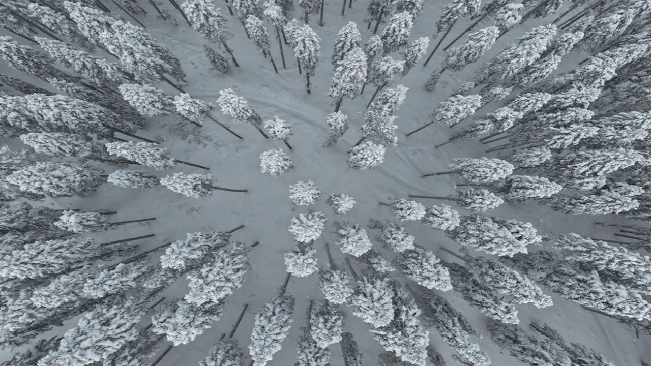 Gökyüzünden Ilgaz manzaraları: Sis ve karın muhteşem dansı