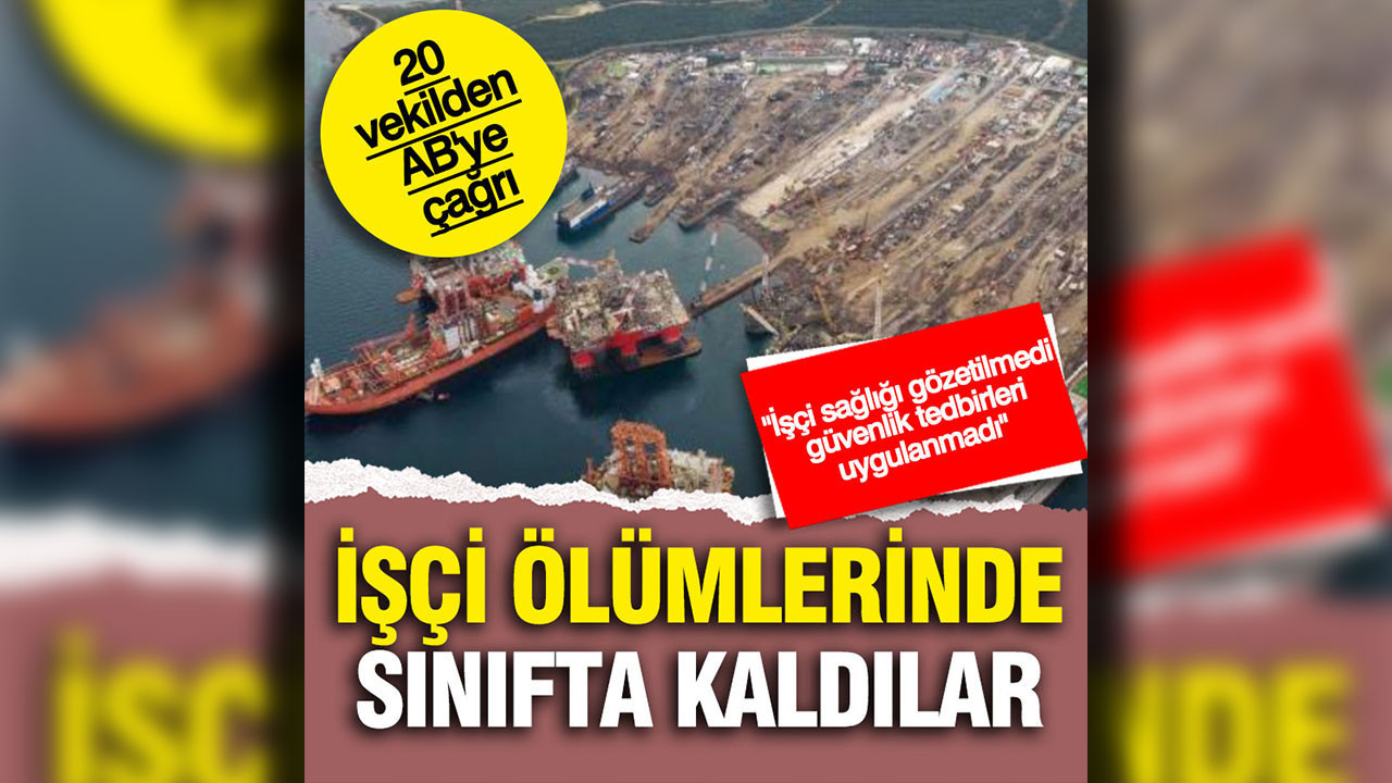 AB Komisyonu'na 20 vekilden çağrı: Sorumluluk alın