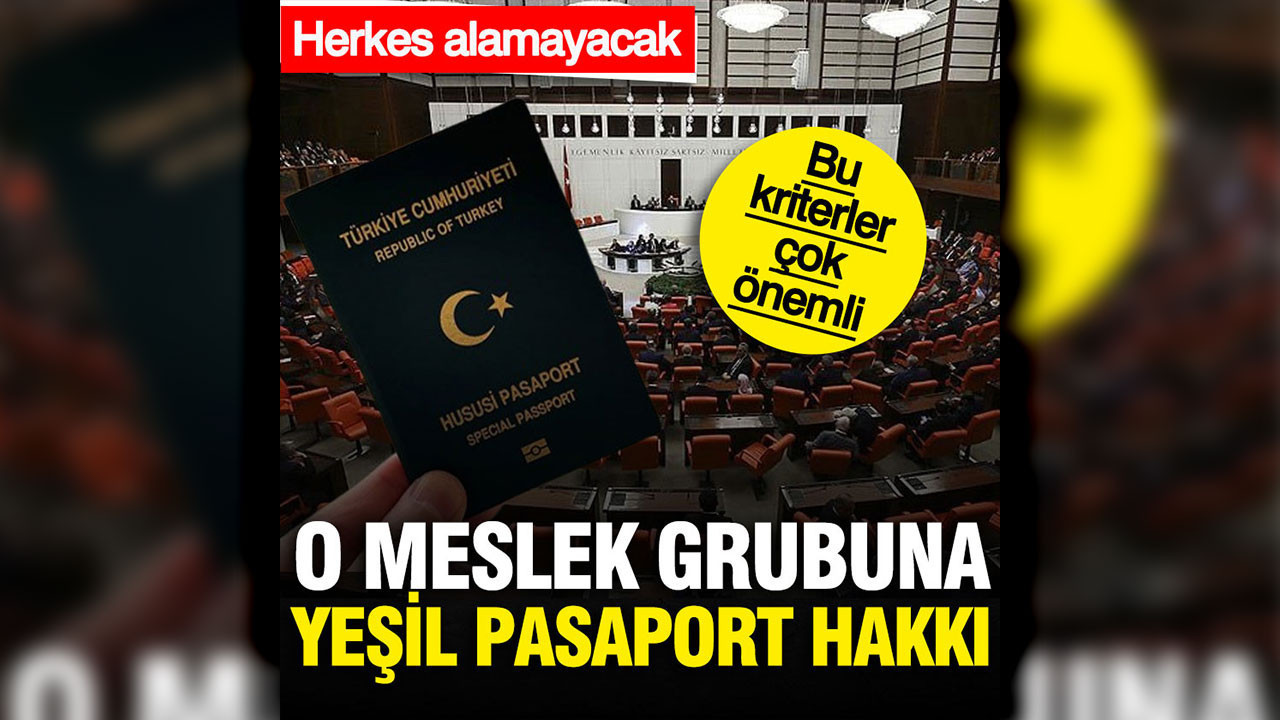 Mimar ve mühendisleri ilgilendiriyor: Yeşil pasaport hakkı tanındı