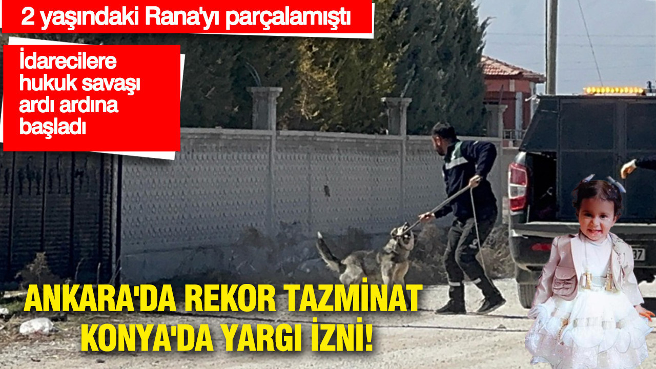 Ankara'da rekor tazminat, Konya'da yargı izni: Sokak köpeklerinin dehşeti: 2 yaşındaki Rana'yı parçalamıştı