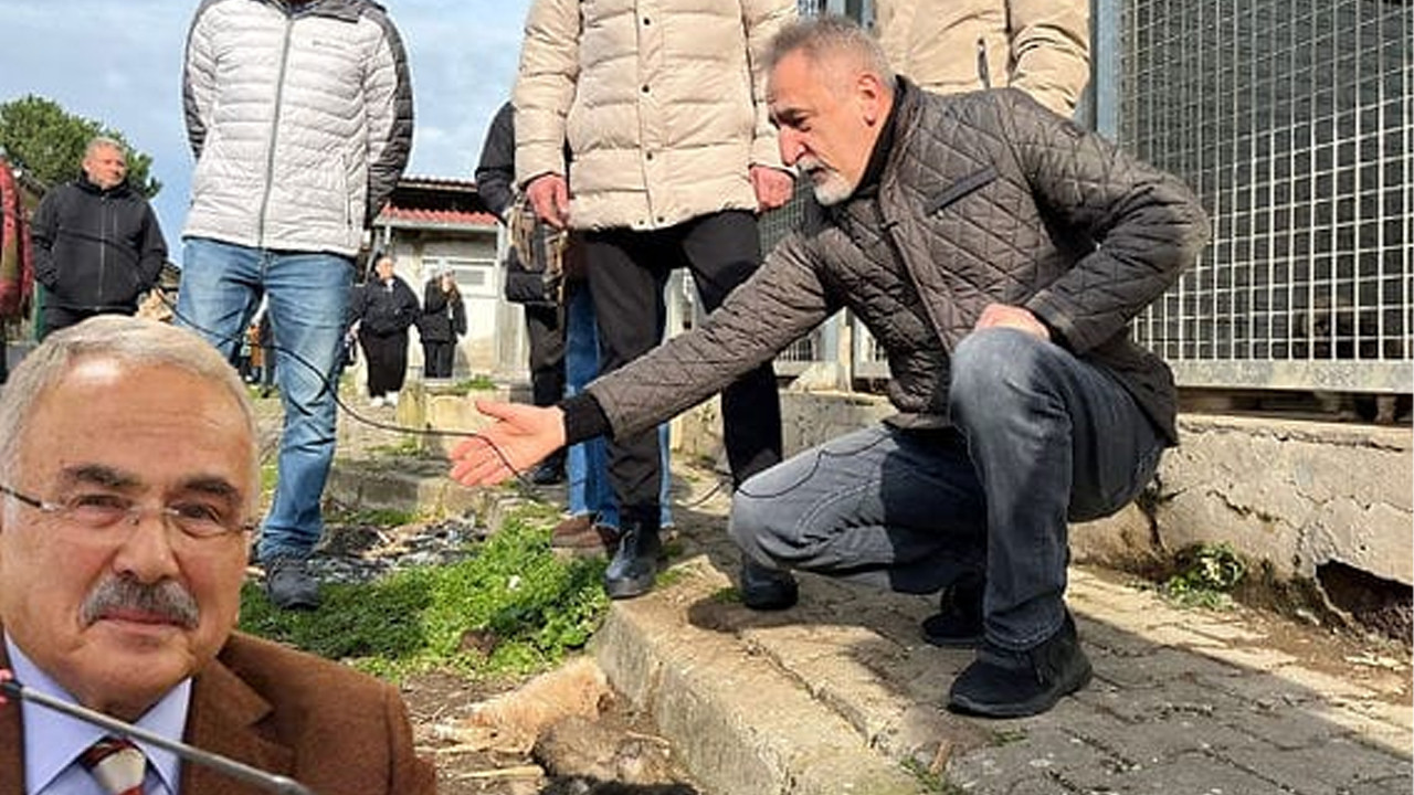 "Cebimizde ölü köpeklerle mi geziyoruz?"