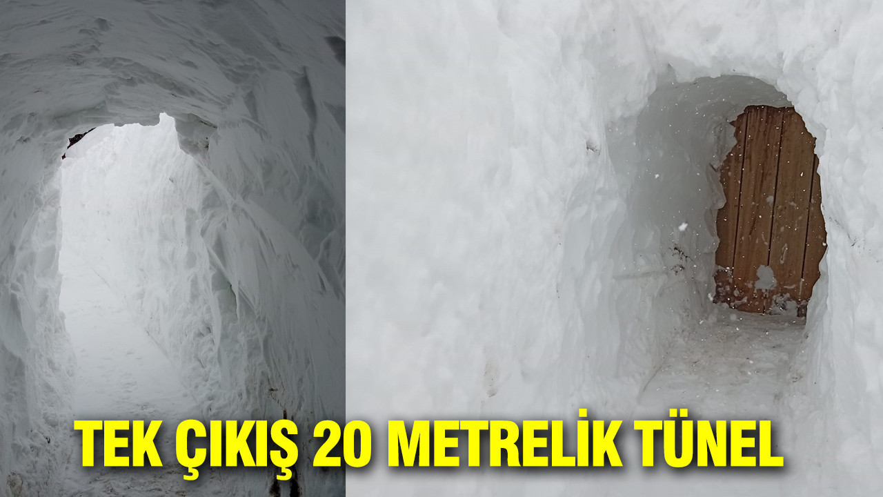 Kar evleri yuttu: Tek çıkış 20 metrelik tünel