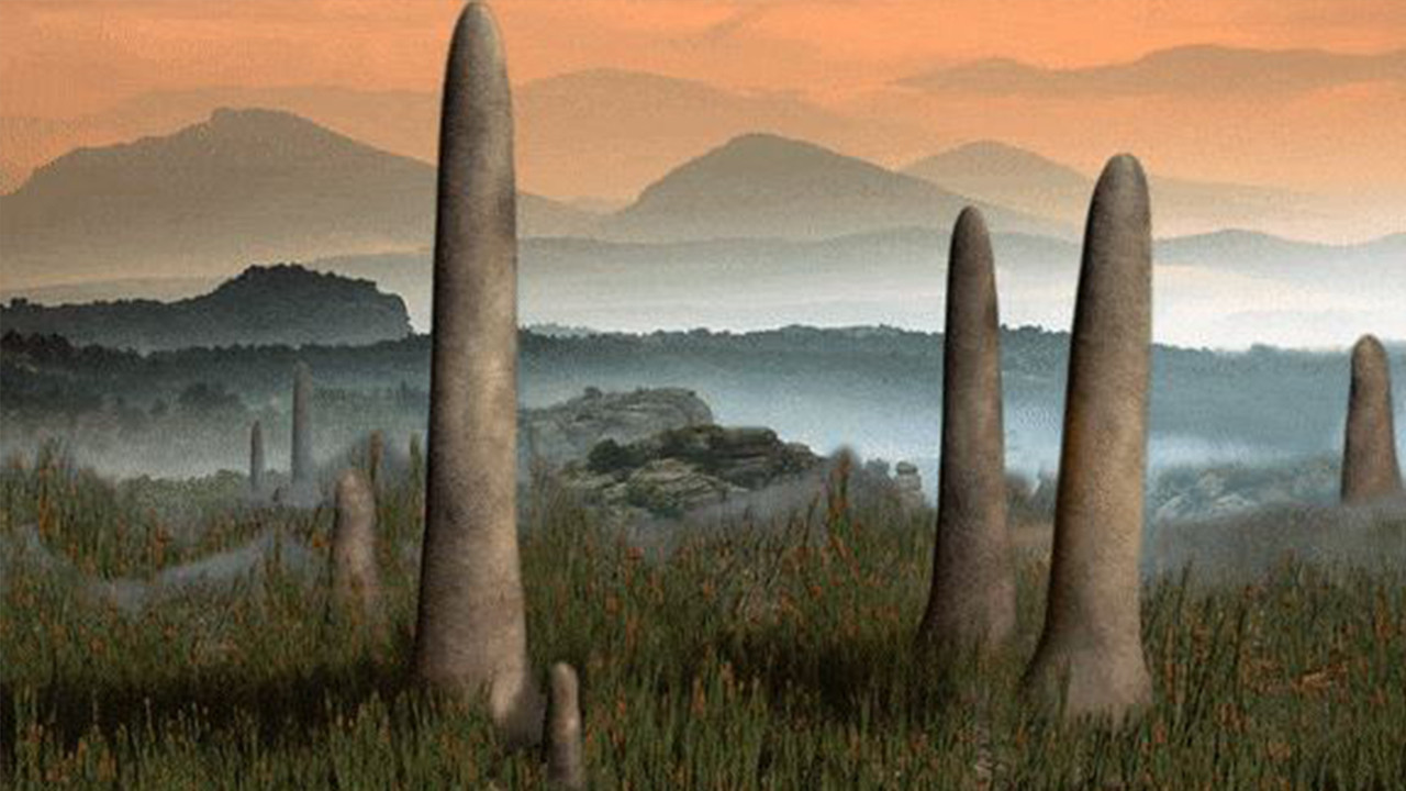 410 milyon yıllık gizem son buldu: Prototaxites’in sırrı çözüldü