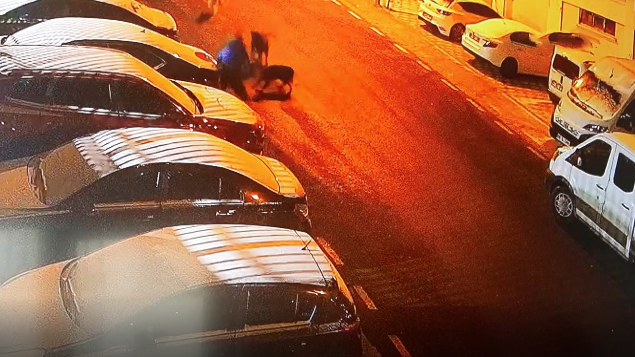 Ankara'da dehşet anları: Sokak köpekleri etrafını kapattı: Hayatı alt üst oldu