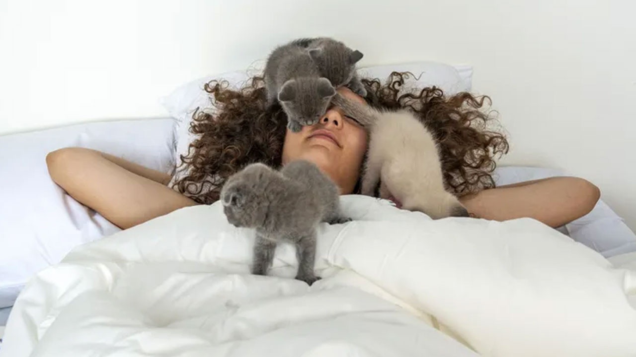 Kediler uyurken neden temas kurar? Bağın bilinmeyen işaretleri