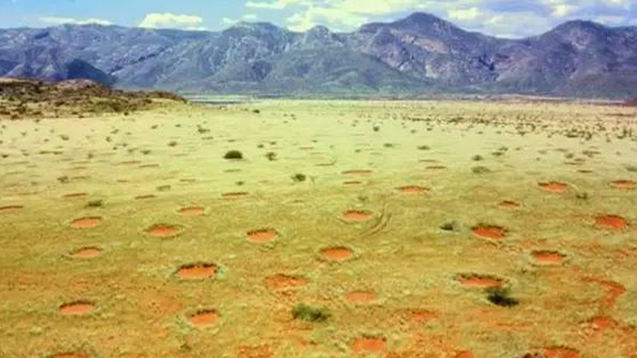 ‘Peri Halkaları’ bilim dünyasını ikiye böldü… Çölün ortasındaki geometrik bilmece