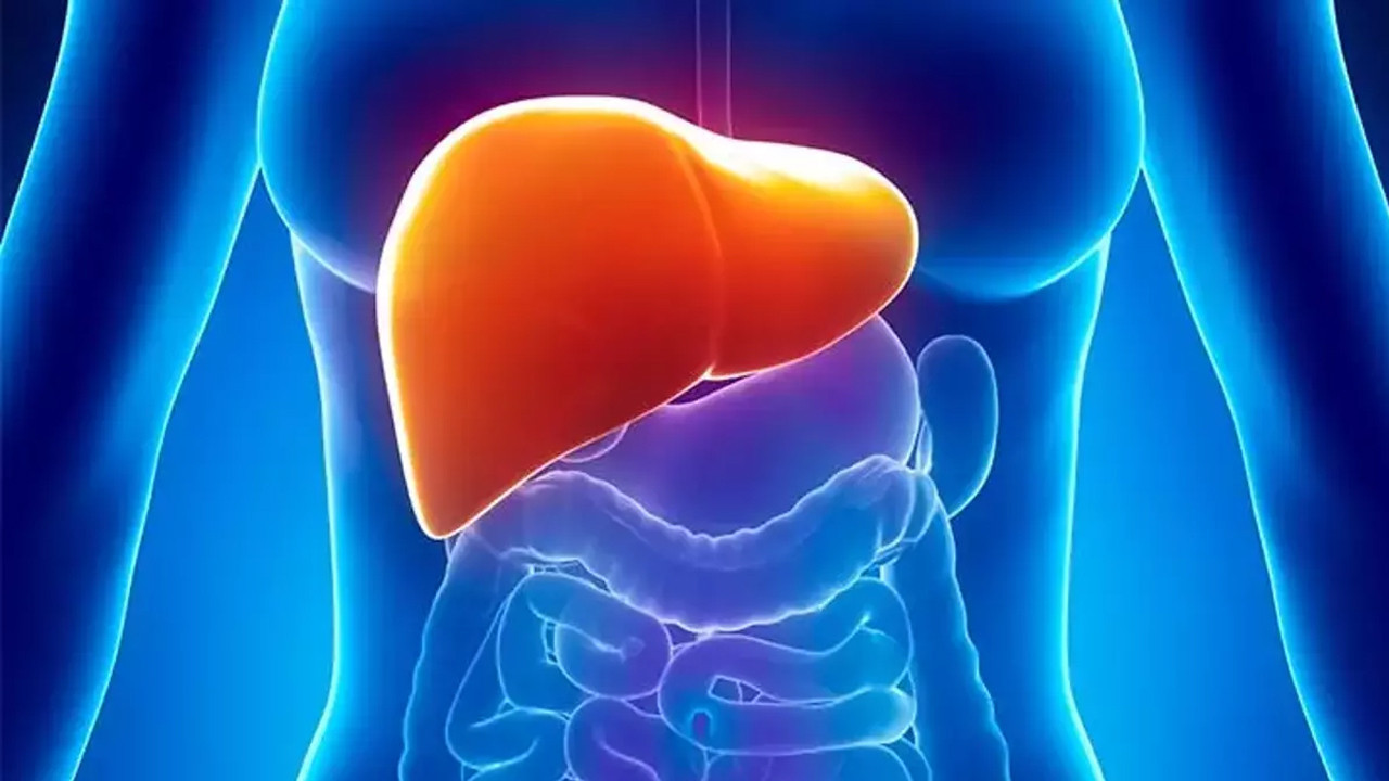 Sirozun gizli tehlikesi ortaya çıktı: Alkolü bırakmazsanız geri dönülmez oluyor