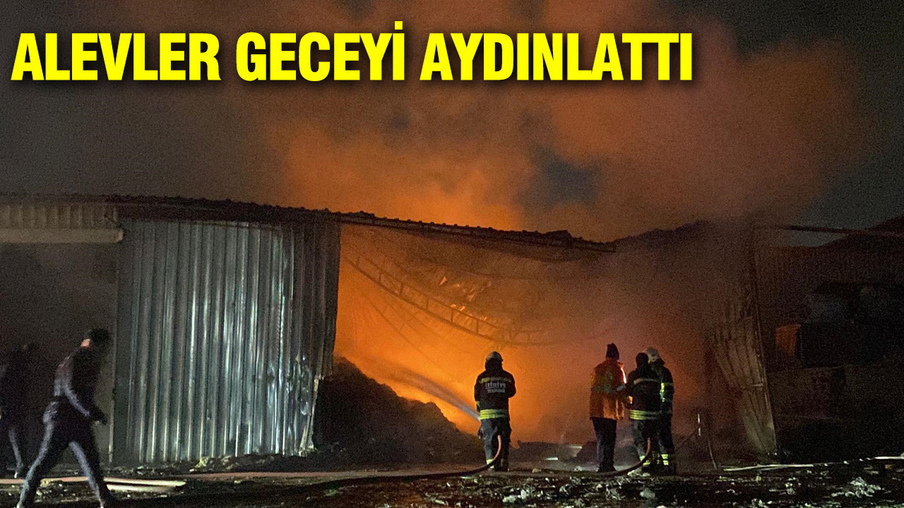 Alevler geceyi aydınlattı: Geri dönüşüm tesisinde yangın