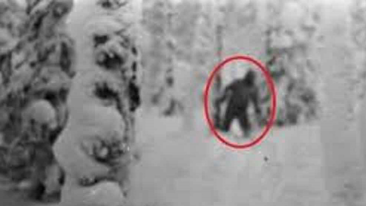 Ölüm dağındaki sır: Çadırlarını yırtarak ölüme koşan dağcıların gizemi