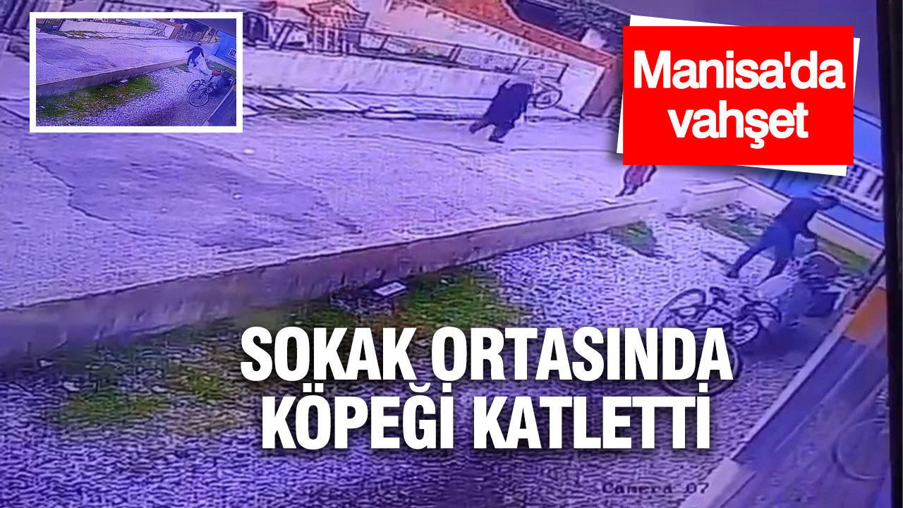 Manisa'da vahşet: Çocukların önünde köpeği katletti