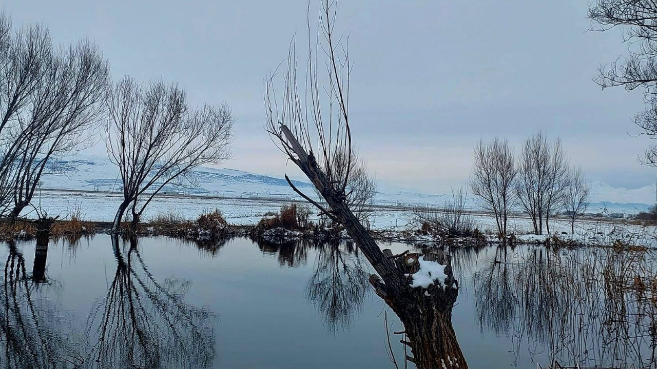 Kar altında bir masal: Gülağaç Bakı Gölü kışın da büyülüyor