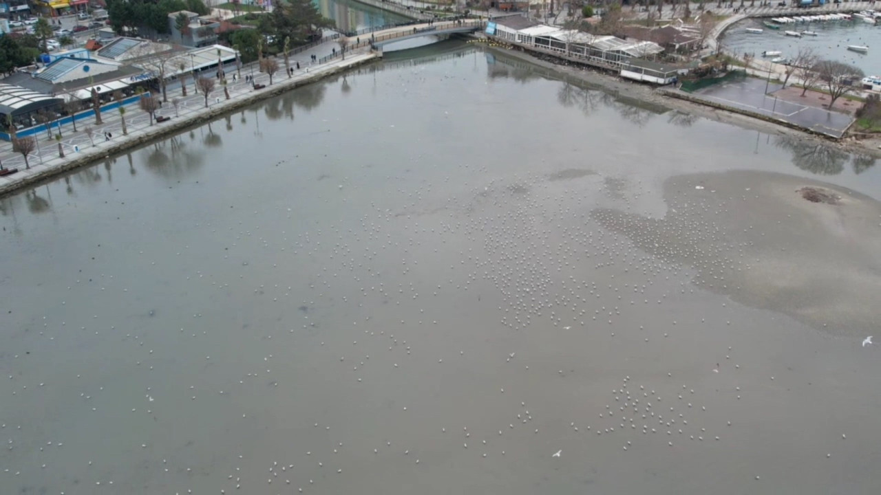 Silivri'de deniz geri çekildi: Deprem tartışmaları alevlendi