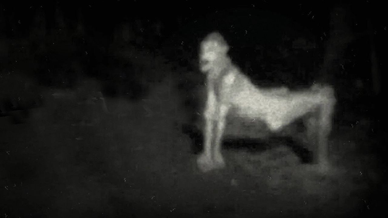 Dehşet çiftliğinde esrarengiz olaylar… Paranormal olayların gizemi çözülemiyor