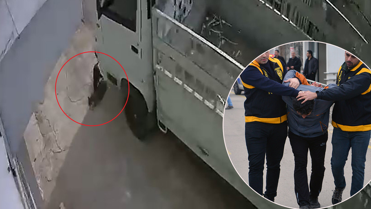 Sokak kedisini ezdi: Unutamayacağı cezaya mahkum oldu