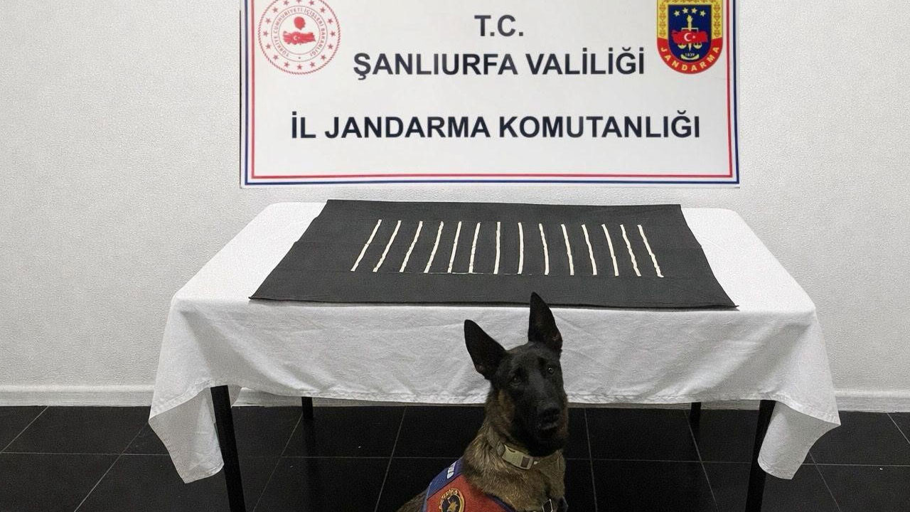 Harran’da uyuşturucu operasyonu