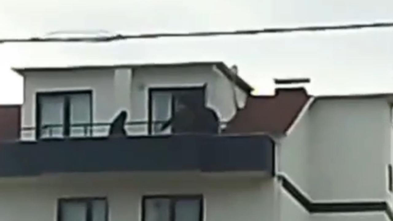 Kocaeli’de FETÖ operasyonu: Hükümlü ihraç üsteğmen çatıda yakalandı