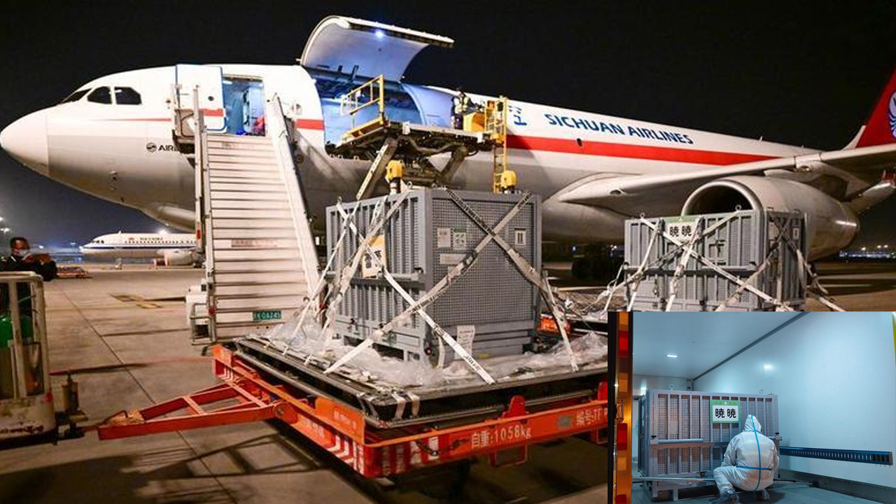 Tokyo’da gözyaşları içinde ayrılık: İkisi de Çin’e uçtu