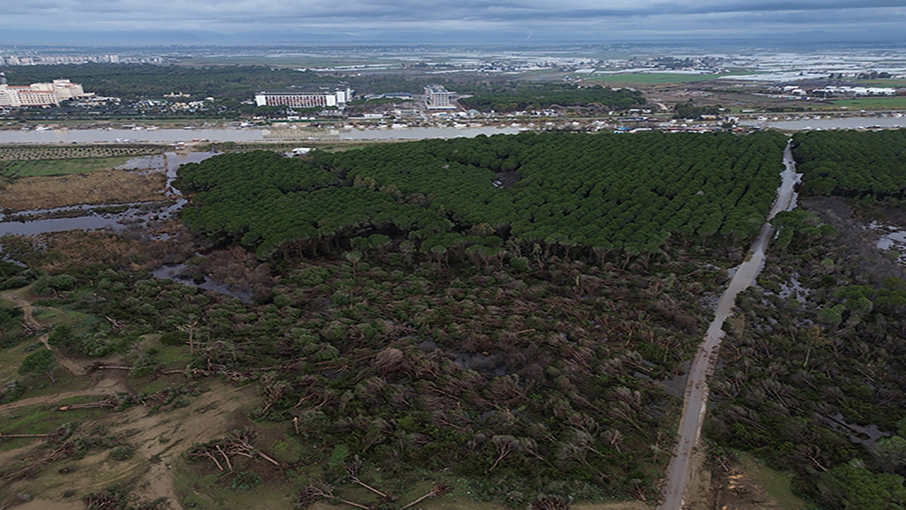 Antalya’da hortum felaketi: Ağaçlar, tekneler, her şey hasarlı… Havadan korkunç görüntüler