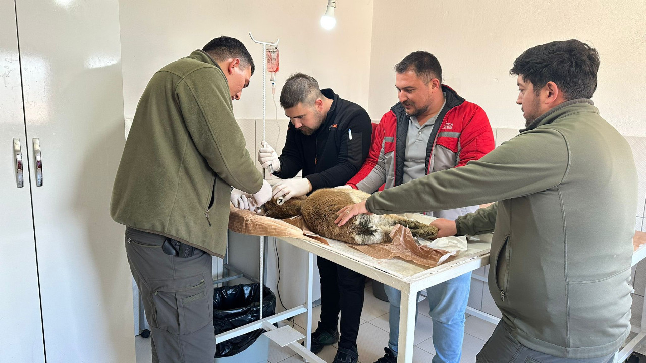 Bu bir yaşasın iyi insanlar haberidir