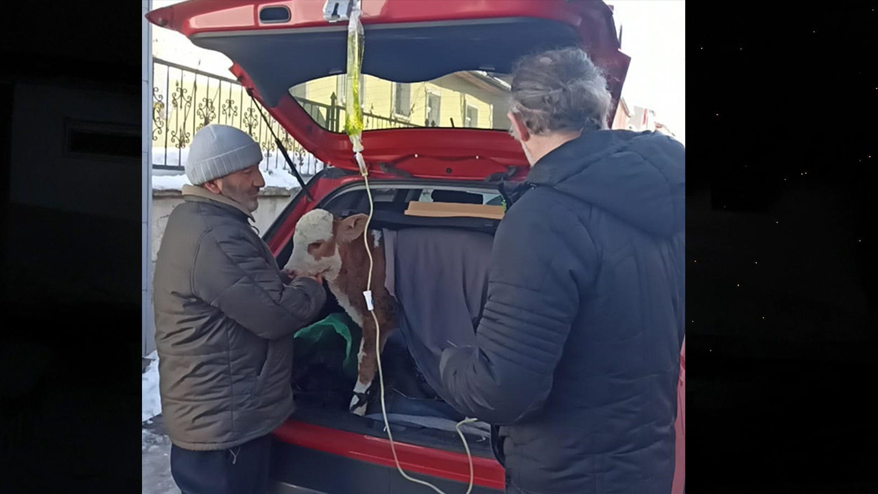 Arabanın bagajında serumla müdahale etti: Yemeden içmeden kesildi