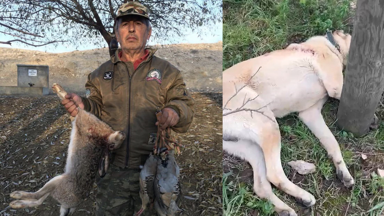 Zonguldak’ta Kangal faciası: Avcı tutuklandı