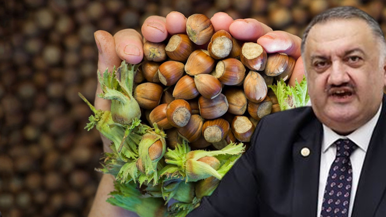 DEVA Partisi fındıktaki fiyat dengesizliğine isyan etti