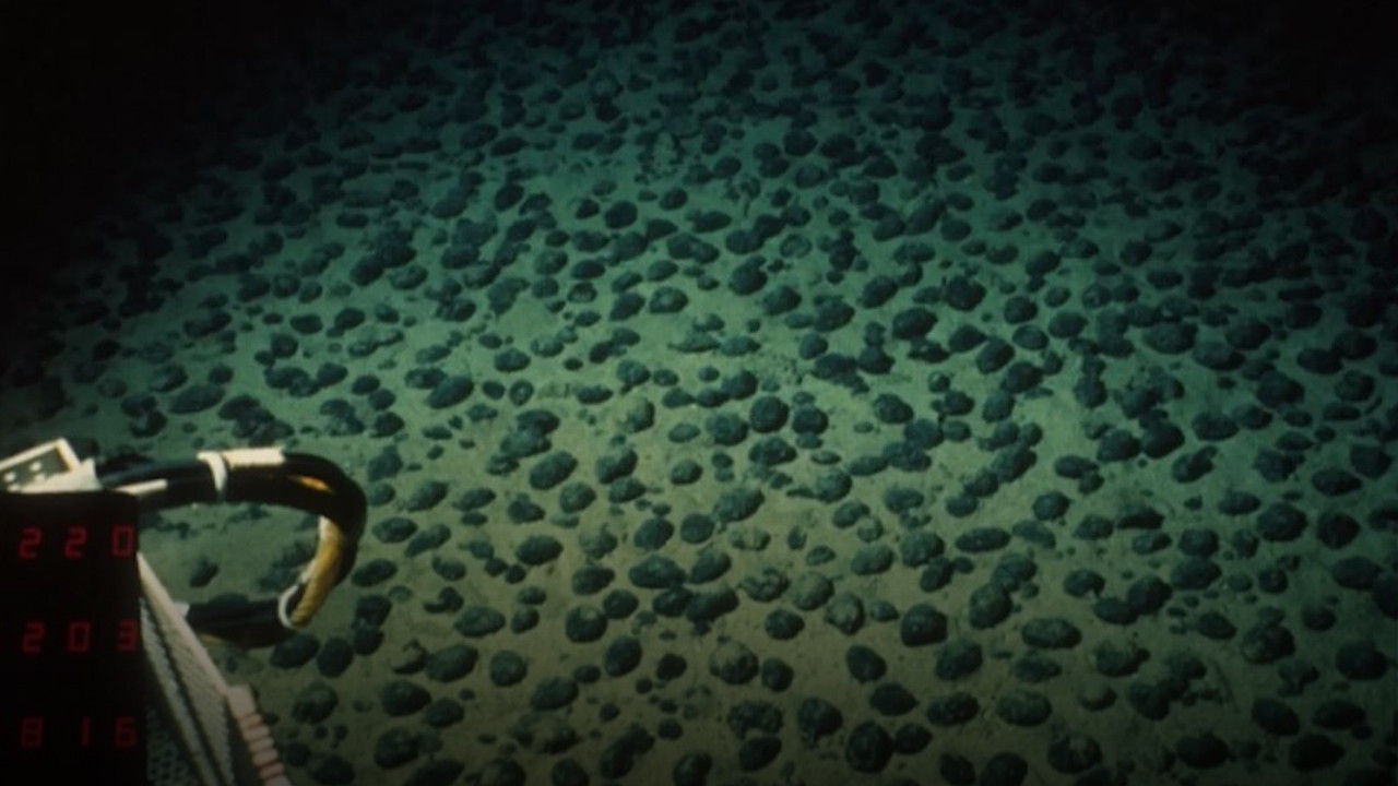 Okyanusun derinliklerinde ezber bozan keşif