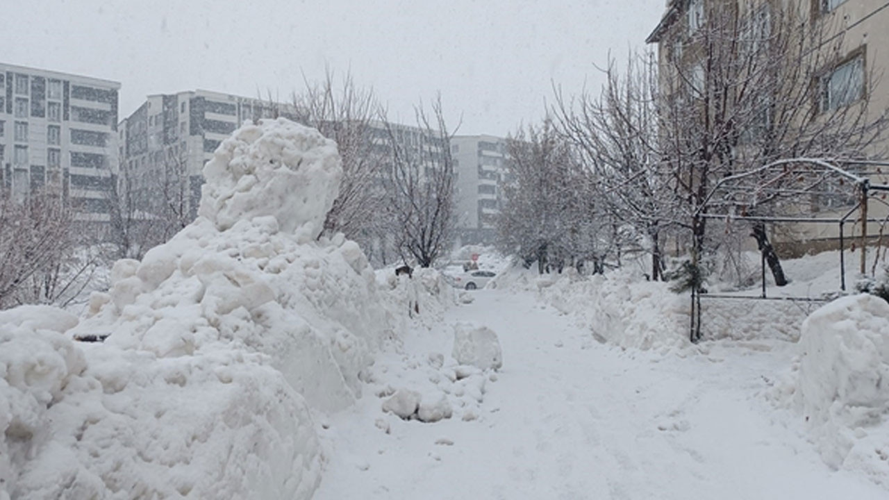 Bitlis'te kar yeniden etkili olmaya başladı