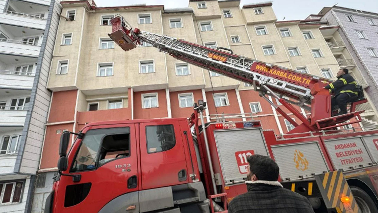 Çatıda mahsur kalan kedi kurtarıldı