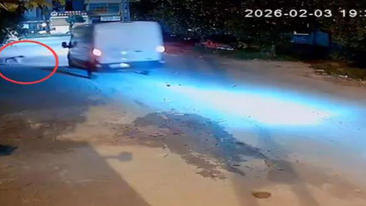 Kamyonet sürücüsü, araca havlayan köpeği ezdi