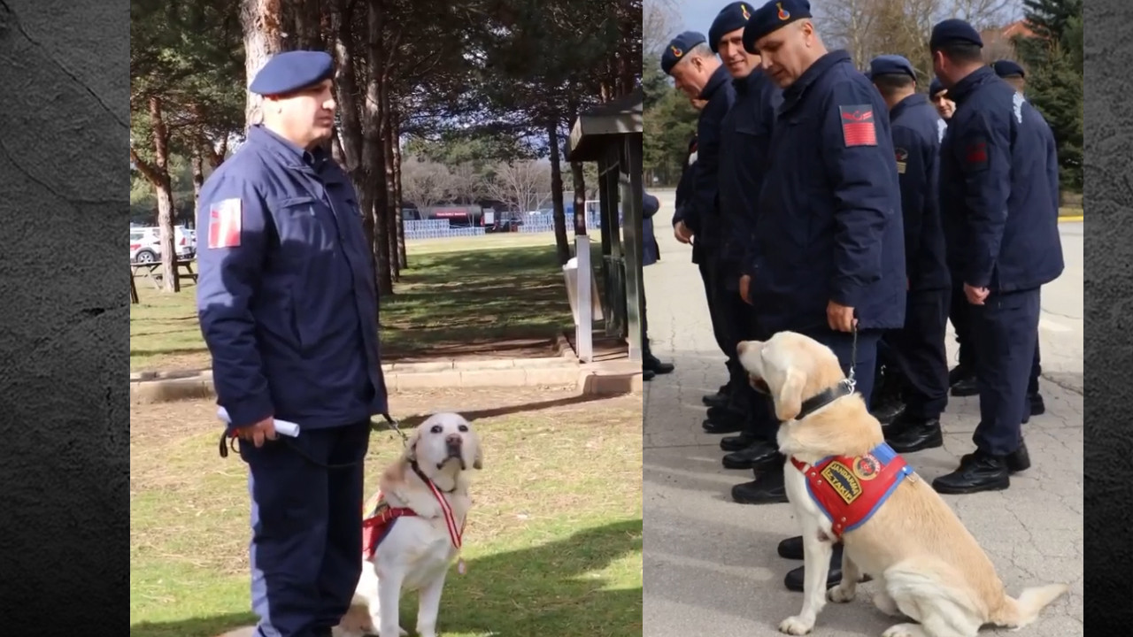 Bolu'da Jandarmanın kahramanı yaş haddinden emekli oldu: Madalya ile veda edildi