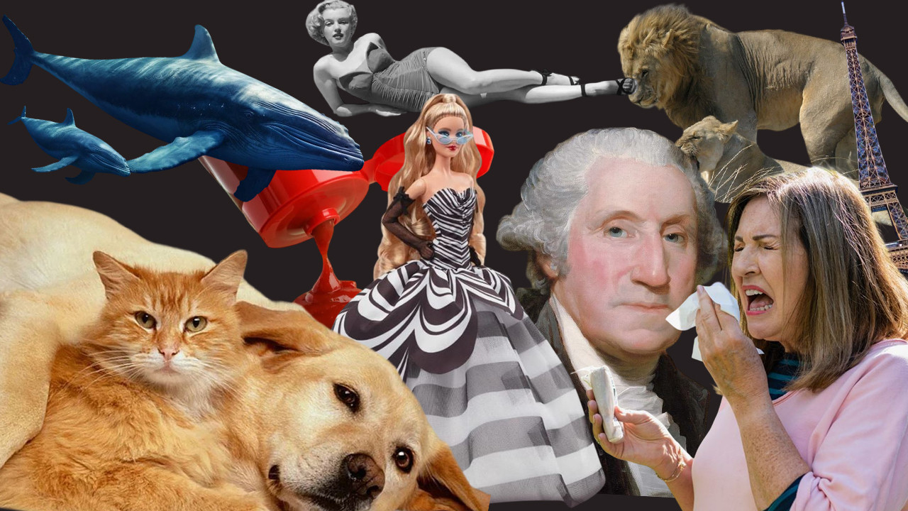 Dünyanın en garip ve akıl almaz bilgileri: İnanılmaz ama gerçek