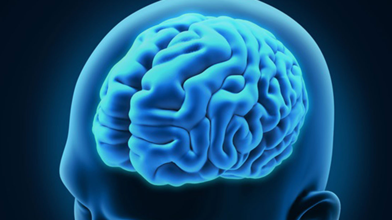 İnsan beyni geleceği görebiliyor: Hafıza merkezi ile ilgili yeni keşif