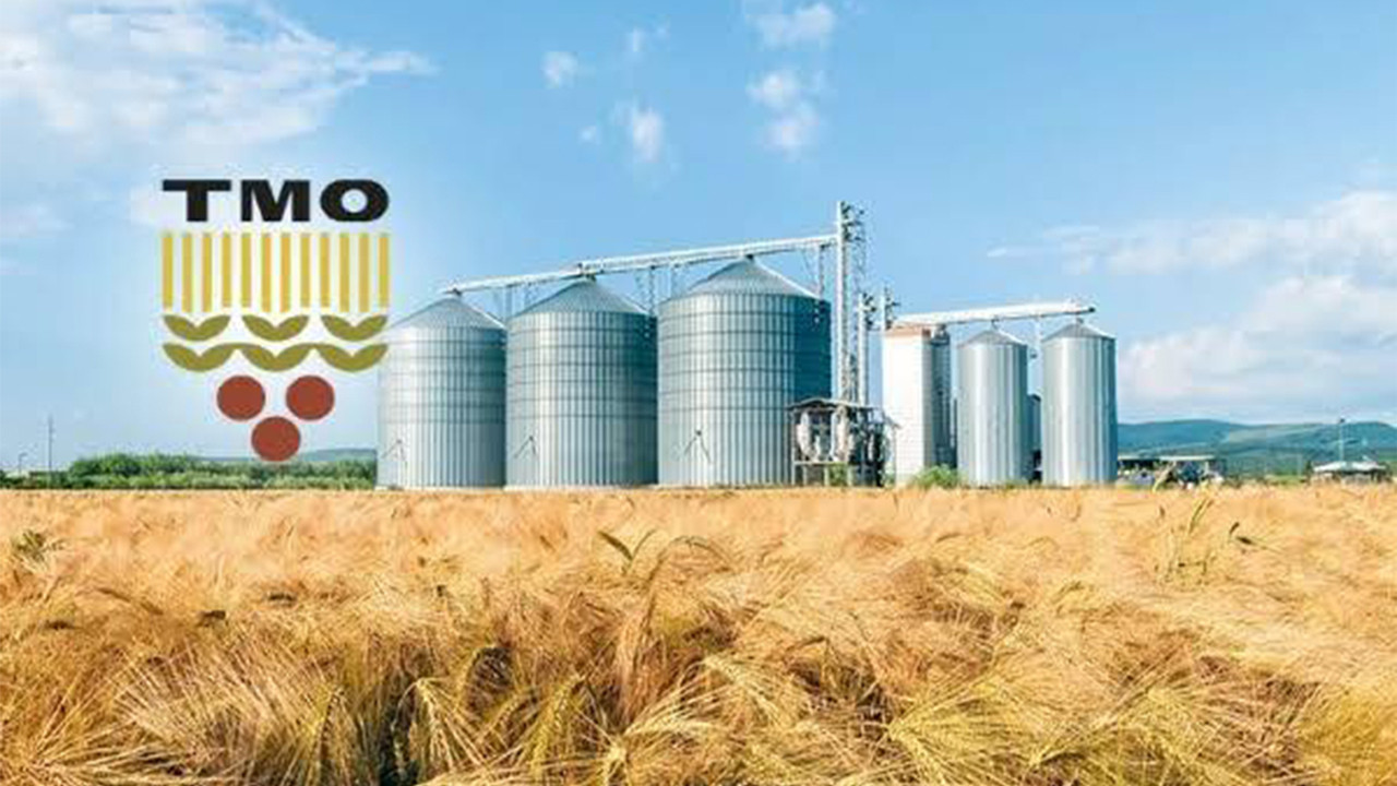 Toprak Mahsulleri Ofisi arpa alacağı 7 ili duyurdu