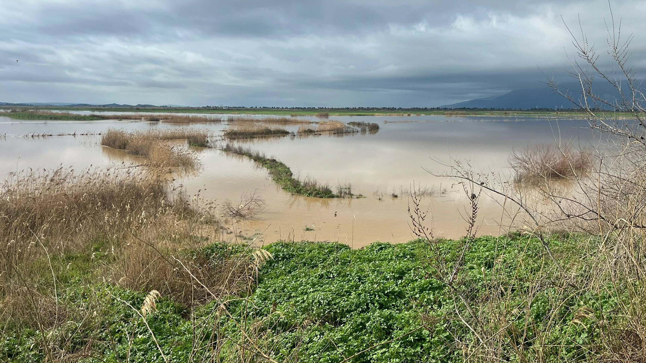 Nehir Taştı, hayat durdu: Söke Ovası sular altında kaldı