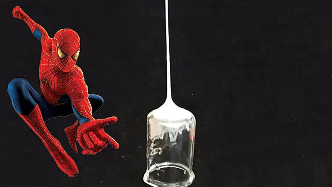 Örümcek adam gerçek oldu