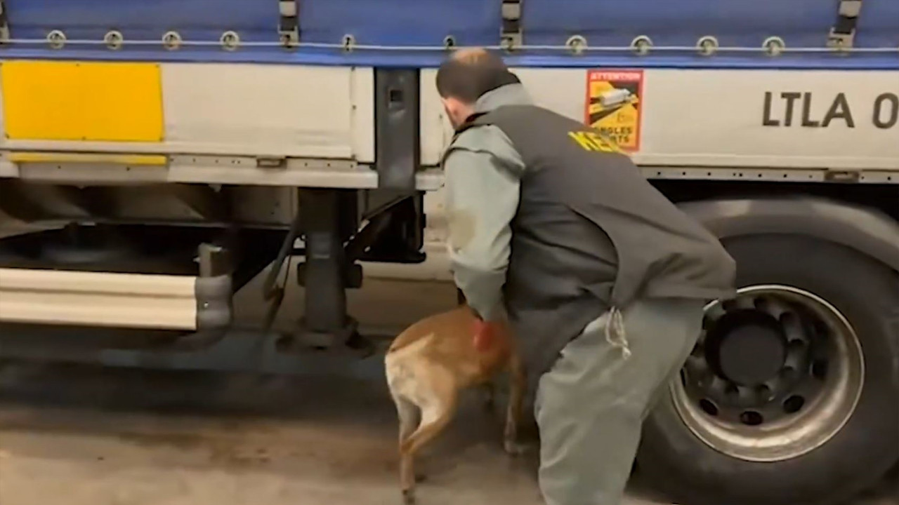 Sevkiyat çökertildi: Edirne Kapıkule’de TIR’a operasyon: 240 kilo ele geçirildi