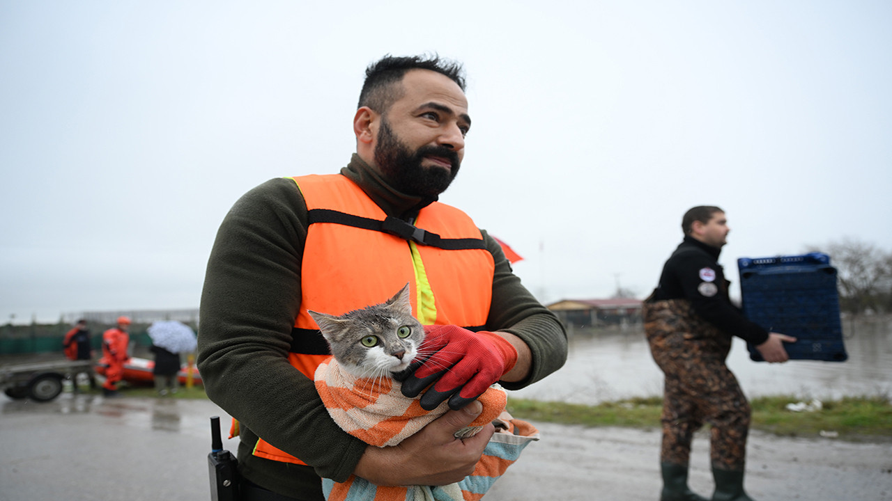 Edirne'de sel felaketi: Kediler ve köpekler botla tahliye edildi