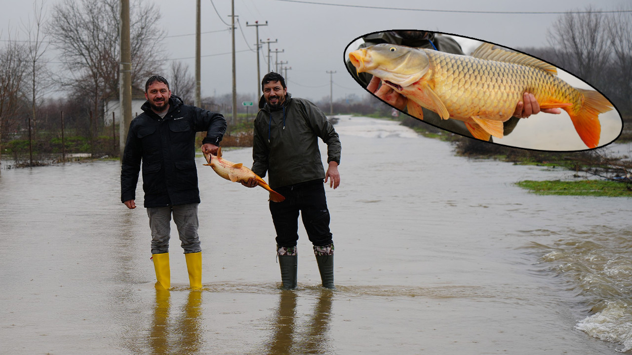 Edirne’de ilginç görüntü: Meriç Nehri taştı kısmet tarlaya vurdu