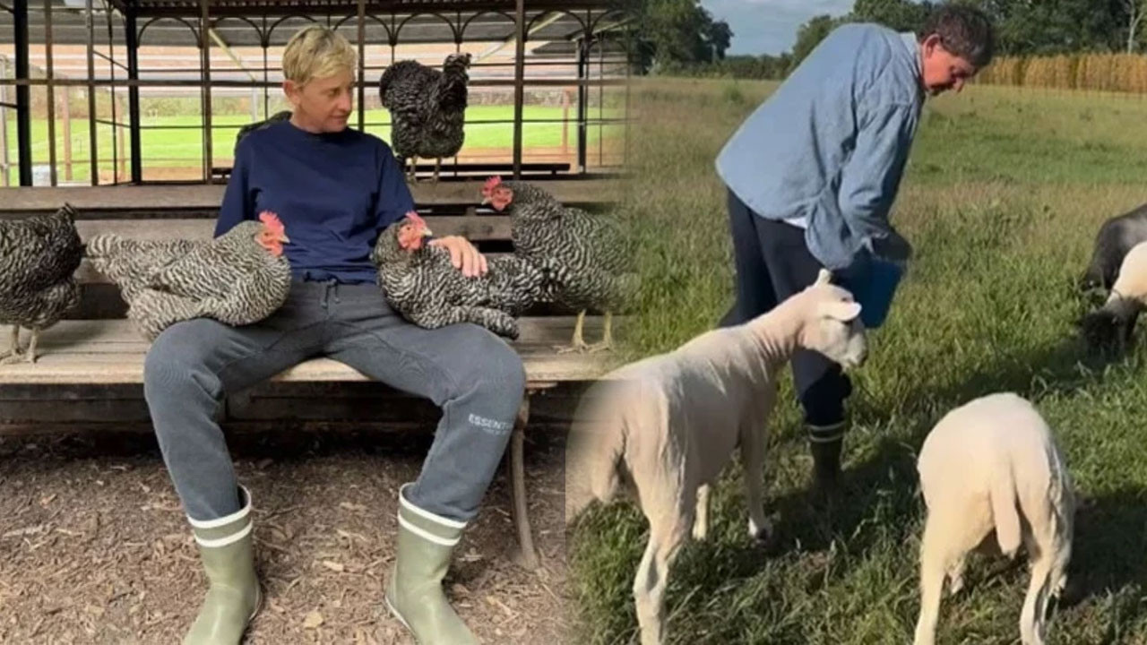 Yağmur, çamur, tavuklar… Hollywood yıldızı doğal hayata dayanamadı: 27 milyona yeni malikane aldı