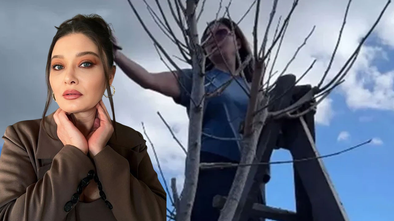 Şehir hayatını silip attı: Pancar tarlasından ağaç tepesine... Nurgül Yeşilçay adeta yılların köylüsü