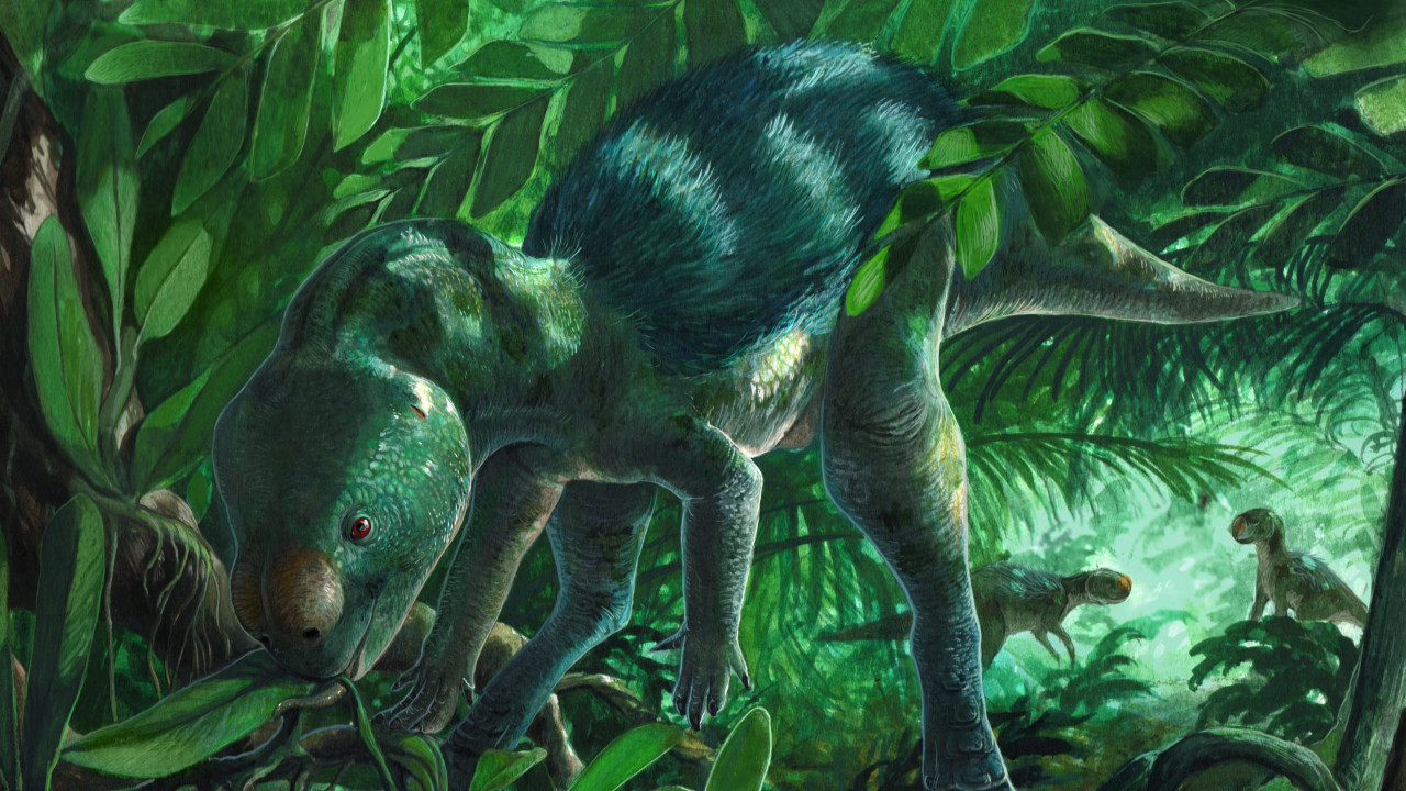 Tavuk büyüklüğünde yeni bir dinozor türü keşfedildi: Foskeia pelendonum