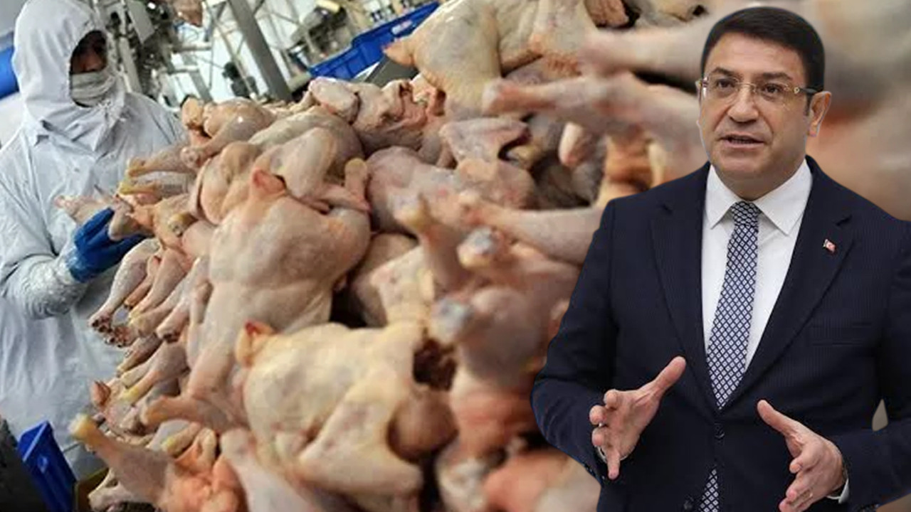 Tavuk fiyatı zammına ve ihracatın durmasına İdris Şahin’den sert tepki: İktidar kendi beceriksizliğinden kaçıyor