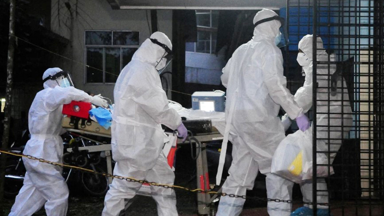 Yarasaların gölgesinde yeni kurban: Nipah Bangladeş'i vurdu... DSÖ alarmda