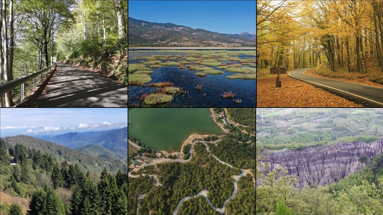 Giresun ve Tokat’a yeni koruma: Türkiye’de alan sayısı 692'ye yükseldi